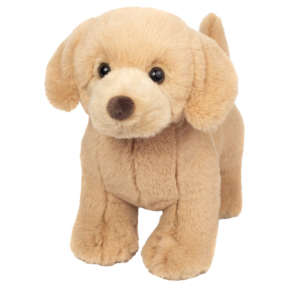 Golden retriever (beige/bruin)