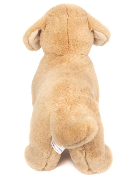 Golden retriever (beige/bruin)