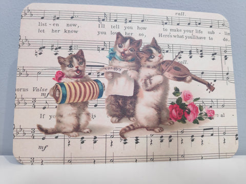 wenskaart katten serenade